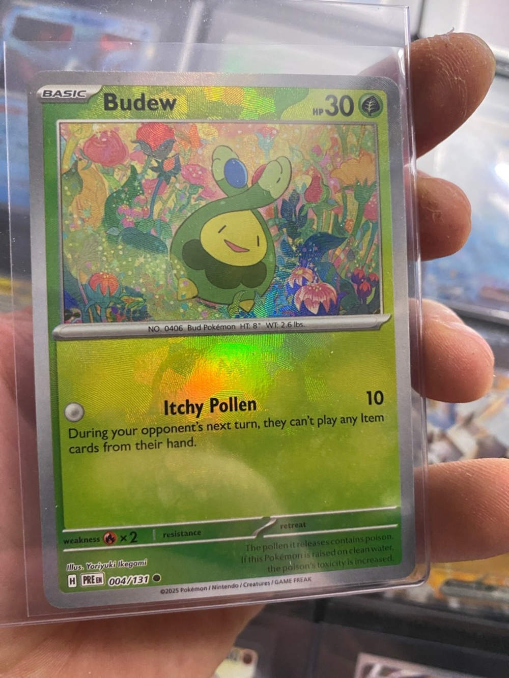 Pokemon Budew Holographic Card - Green, Yellow